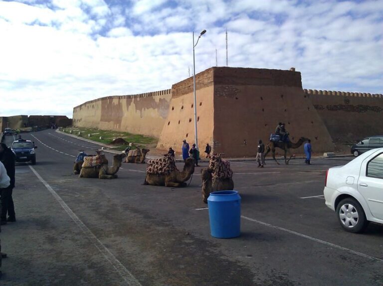Agadir : City Sightseeing Tour - The Experience and Transportation
