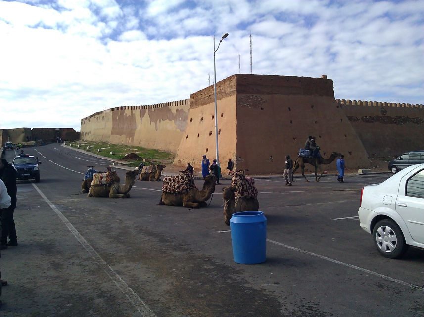 Agadir : City Sightseeing Tour - The Experience and Transportation