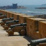 Agadir: Essaouira Guided Day Trip - Authentic Experiences and Traveler Insights