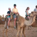 Agadir: Flamingo River Camel Ride w/Optional BBQ - Why This Tour Might Be Perfect for You