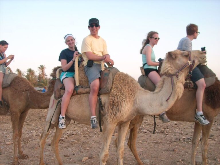 Agadir: Flamingo River Camel Ride w/Optional BBQ - Why This Tour Might Be Perfect for You