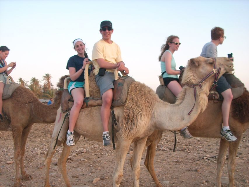 Agadir: Flamingo River Camel Ride w/Optional BBQ - Why This Tour Might Be Perfect for You