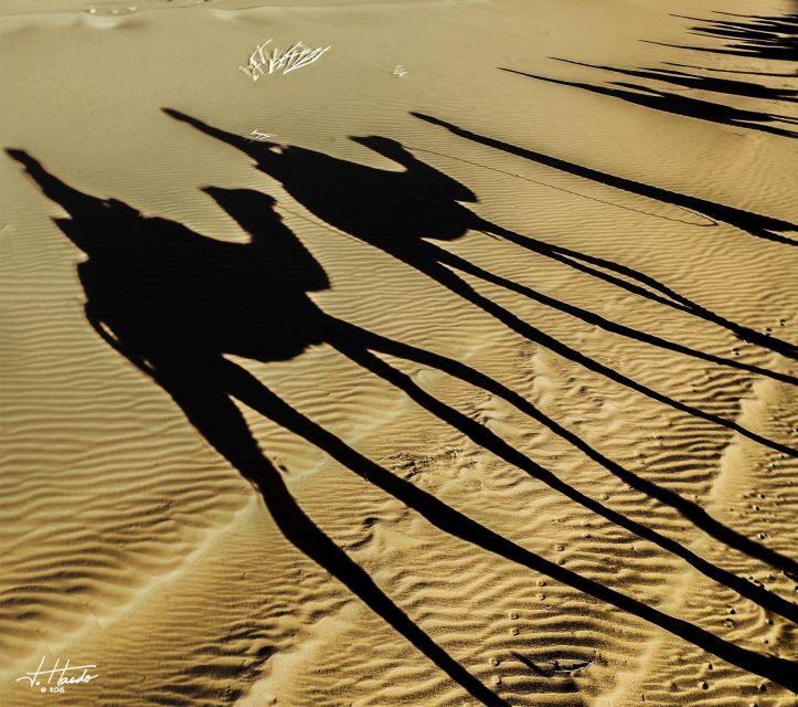 Agadir: Flamingo River Camel Ride with Optional BBQ Dinner - The Food & Dining Experience
