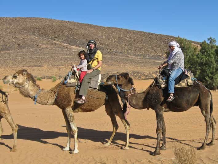 Agadir: Flamingo River Camel Ride - Practical Details and Value