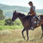 Agadir: Forest and Sand Dunes Guided Horse Riding - Is It Worth the Price?