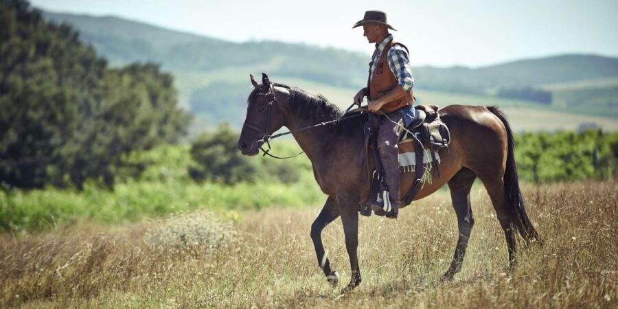 Agadir: Forest and Sand Dunes Guided Horse Riding - Is It Worth the Price?