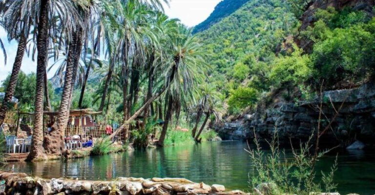 Agadir: Guided Excursion to Paradise Valley - Value for Money