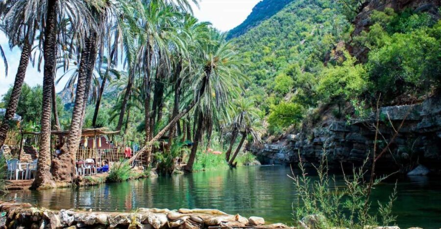 Agadir: Guided Excursion to Paradise Valley - Value for Money