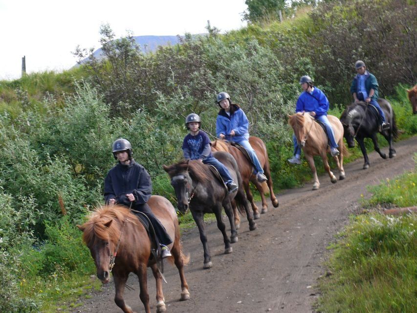 Agadir: Guided Horse Riding Along Flamingo River with Tea - The Itinerary and Scenery