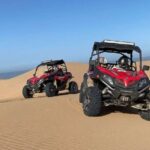 Agadir: Half-Day Desert Dunes Buggy Safari - What’s Included and What to Know