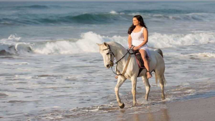 agadir: Horse Ride Tour with Traditional Lunch - Practical Details and Tips