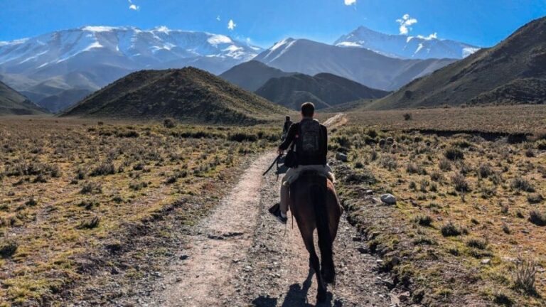 Agadir Horse Riding visite the flamingo river with tea drink - Who Will Love This Experience?