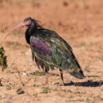 Agadir: Imoha Tours City Pass with 10+ Attractions - What’s Included?
