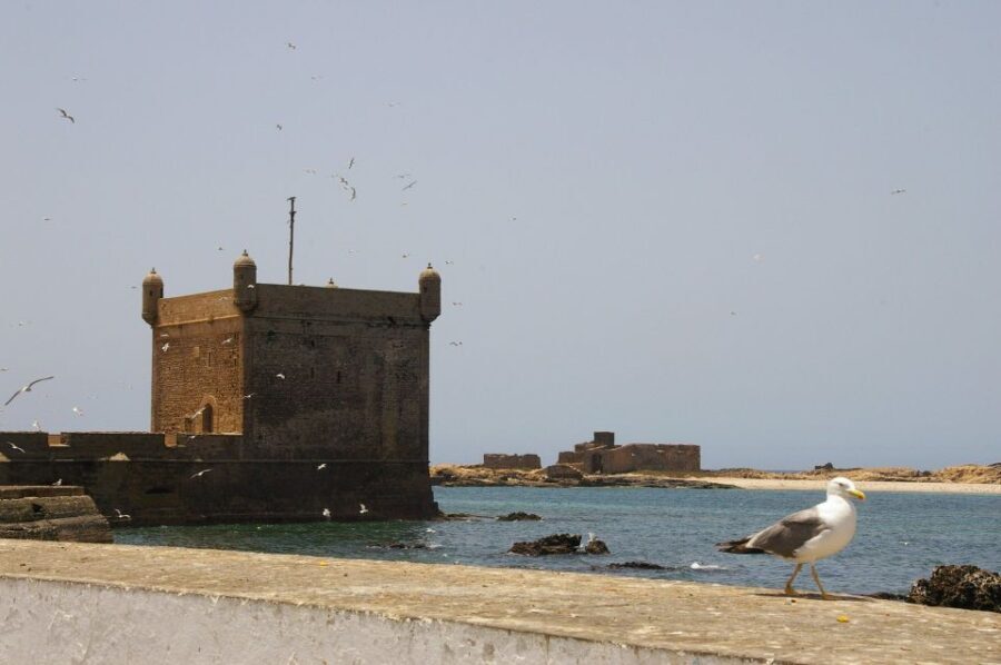 Agadir or Taghazout Essaouira old city day Trip with guide - Practical Details and Tips