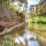 Agadir or Taghazout: Paradise Valley Atlas Mountain Trip - Who Is This Tour Best For?