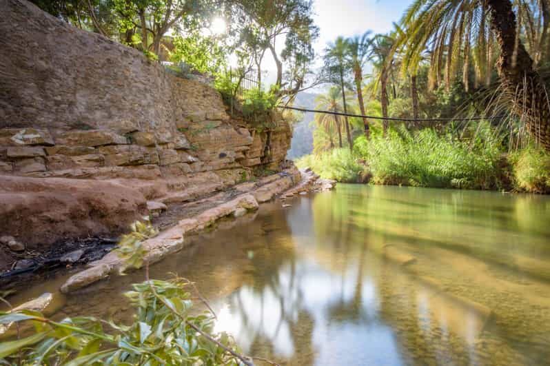 Agadir or Taghazout: Paradise Valley Atlas Mountain Trip - Who Is This Tour Best For?
