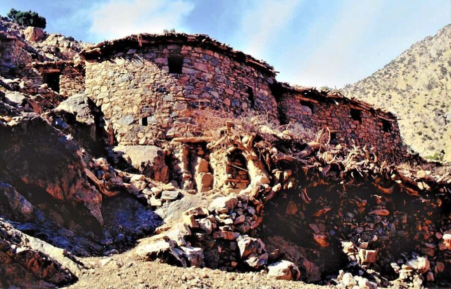 Agadir or Taghazout: Paradise Valley Atlas Mountains Tour - What Really Sets This Tour Apart