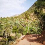 Agadir: Paradise Valley & Desert Sand Dunes with Camel Ride - Exploring the Tour in Detail