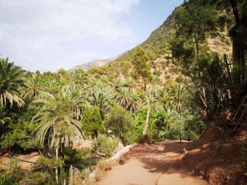 Agadir: Paradise Valley & Desert Sand Dunes with Camel Ride - Exploring the Tour in Detail