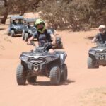 Agadir: Quad Bike Desert&Beach Adventure with Free Pickup - What Makes This Experience Stand Out?