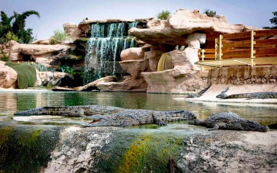 Agadir: Quad Bike Tour Safari with a Crocopark Ticket - Why This Tour Offers Great Value