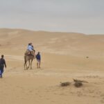 Agadir: Sahara Desert Camel ride & Sandboarding Halfday Trip - Exploring the Dunes: Camel Ride and Scenic Views