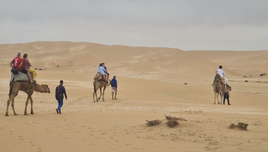 Agadir: Sahara Desert Camel ride & Sandboarding Halfday Trip - Exploring the Dunes: Camel Ride and Scenic Views