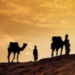 Agadir: Sunset Camel Ride - Flamingo River BBQ & Couscous - Who Is This Tour Perfect For?