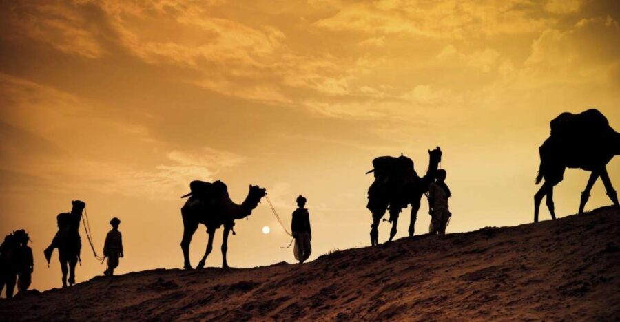 Agadir: Sunset Camel Ride - Flamingo River BBQ & Couscous - Who Is This Tour Perfect For?