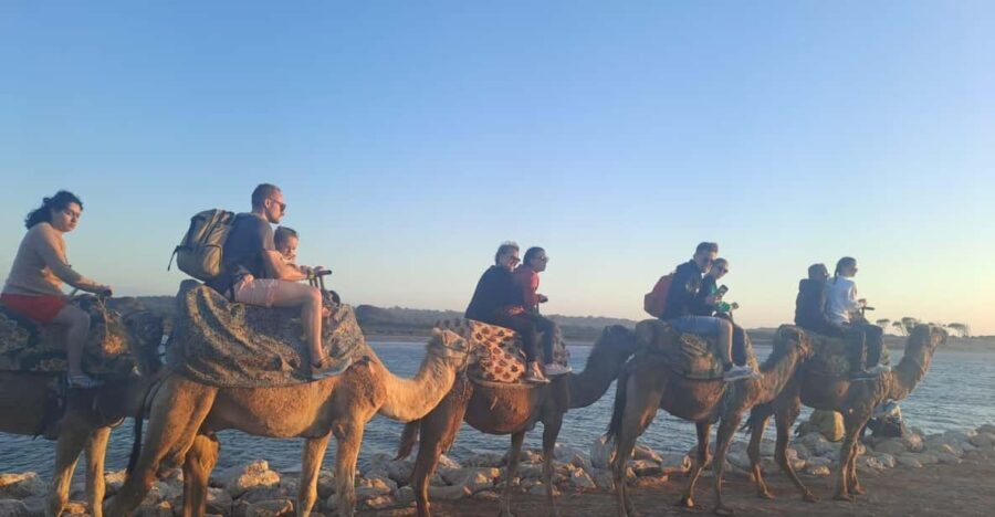 Agadir :Sunset Camel Ride with BBQ Dinner & Transfer - The Experience in Depth