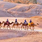 Agadir: Sunset Camel Ride with Local Music and Dinner - Why This Tour Offers Good Value