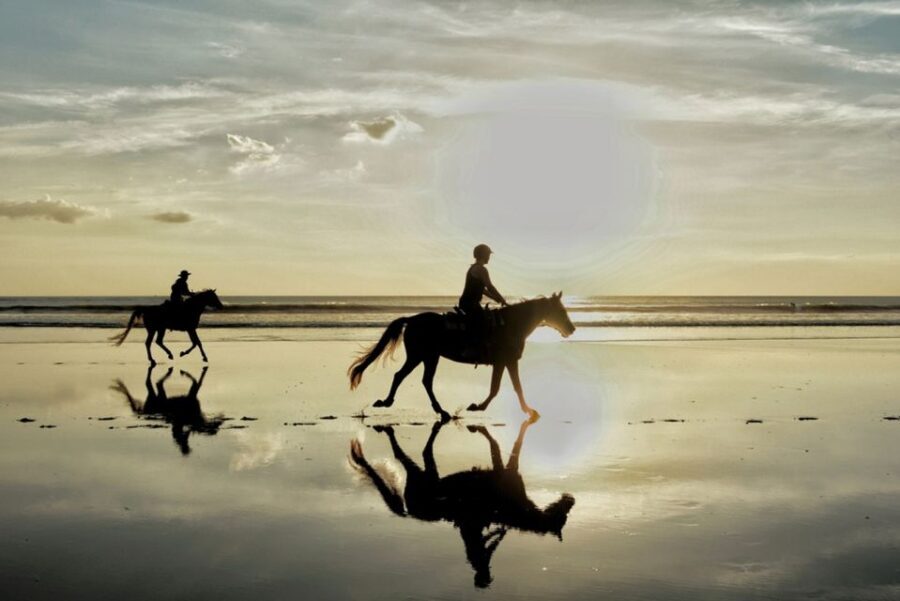 Agadir: Sunset Horse Riding Experience And Relaxing Massage - The Horse Riding Experience in Detail
