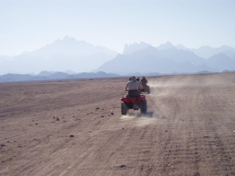 Agadir: Taghazout and Desert Quad Bike Tour - Who Will Love This Tour?