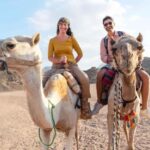 Agadir/Taghazout: Camel Ride with Tea Drink and Transfers - Value for Money