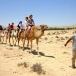 Agadir/Taghazout: Camel Rides with Tea Drink and Transfer - The Practical Side: Logistics and Value
