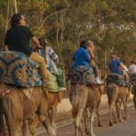 Agadir/Taghazout: Camel Rides with Tea Drink and Transfers - Transportation and Logistical Details