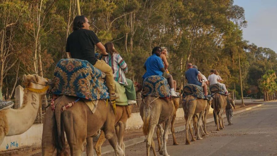 Agadir/Taghazout: Camel Rides with Tea Drink and Transfers - Transportation and Logistical Details