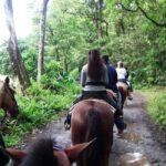 Agadir/Taghazout: Horse Rides Experience With Transfers - The Value of This Horse Ride in Agadir