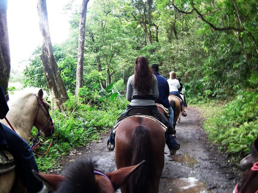Agadir/Taghazout: Horse Rides Experience With Transfers - The Value of This Horse Ride in Agadir