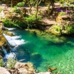 Agadir/Taghazout: Paradise Valley Half-Day Tour with Lunch - Benefits of the Tour