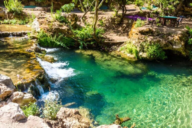 Agadir/Taghazout: Paradise Valley Half-Day Tour with Lunch - Benefits of the Tour