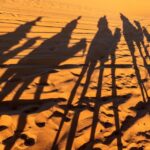 Agadir/Taghazout/Port: Sahara Desert 4x4 Day Trip with Lunch - What Sets This Tour Apart (and What Could Be Better)