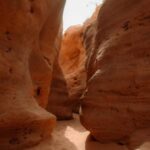 Agadir/Taghazout: Sandboarding & Sunset Tea with Fire Show - Practical Details and Value