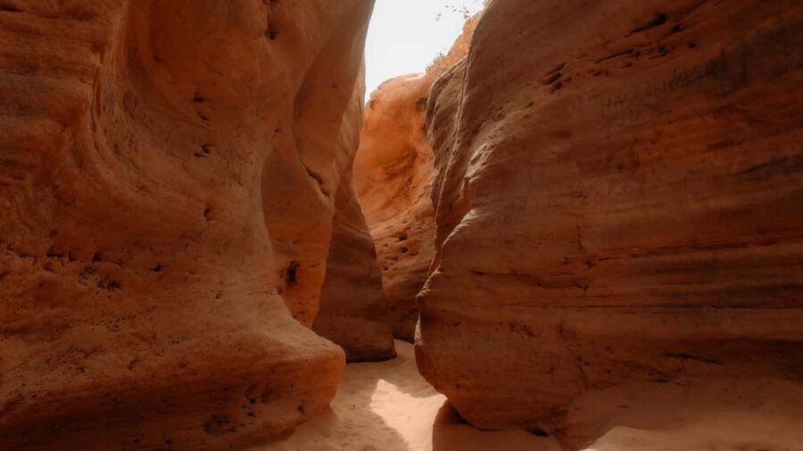 Agadir/Taghazout: Sandboarding & Sunset Tea with Fire Show - Practical Details and Value
