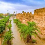 Agadir: Taroudant Oasis and Tiout Day Trip with Lunch Option - The Day Unpacked: What to Expect from the Tour