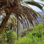 Agadir: Timlaline Desert & Paradise valley with camel ride - The Practical Side: What to Expect and Tips