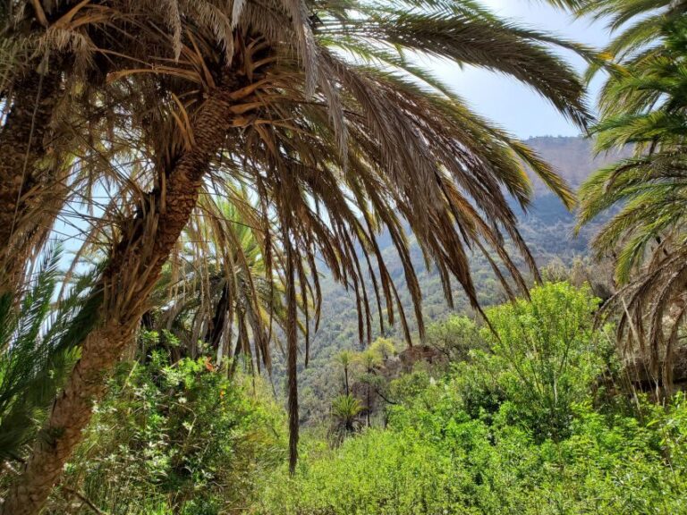 Agadir: Timlaline Desert & Paradise valley with camel ride - The Practical Side: What to Expect and Tips