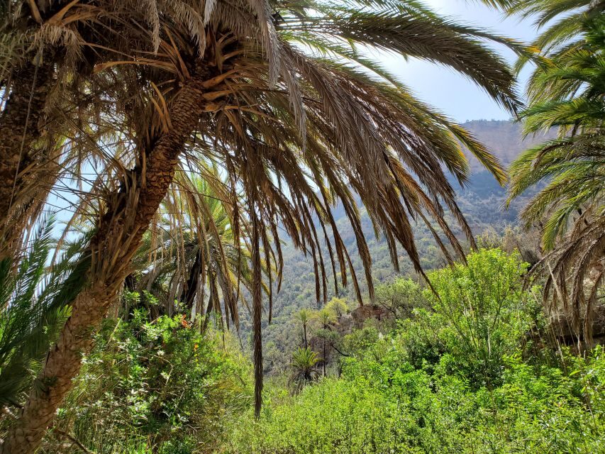 Agadir: Timlaline Desert & Paradise valley with camel ride - The Practical Side: What to Expect and Tips