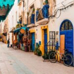 Agadir To Essaouira Trip Visit the ancient & historical city - Who Will Love This Tour?