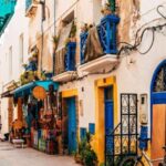 Agadir To Essaouira Trip Visit the ancient & historical city - Who Will Love This Tour?